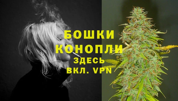 молекула духа Балабаново
